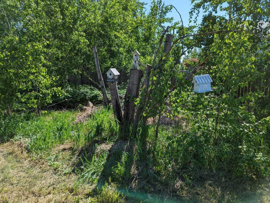 Nunaka Valley Cottage Anchorage Exterior photo